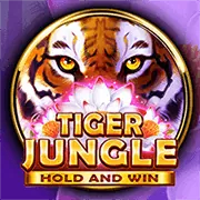 Trò chơi Dragon Tiger tại 8ket